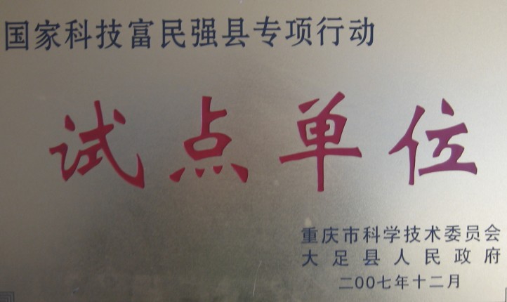 试点单位